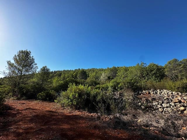 Byggegrund til salg i Jalón / Xaló - € 125.000 (Ref: 8666764)