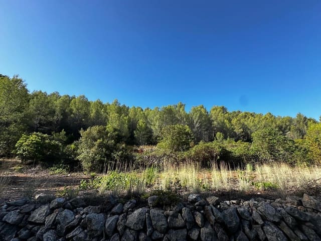 Byggegrund til salg i Jalón / Xaló - € 125.000 (Ref: 8666764)