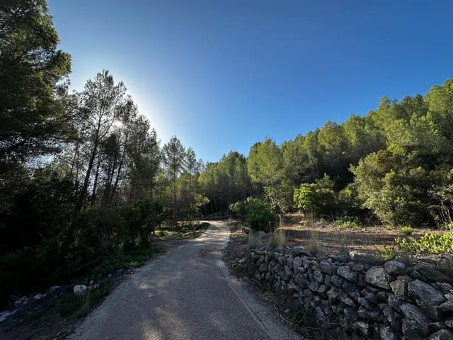 Byggegrund til salg i Jalón / Xaló - € 125.000 (Ref: 8666764)