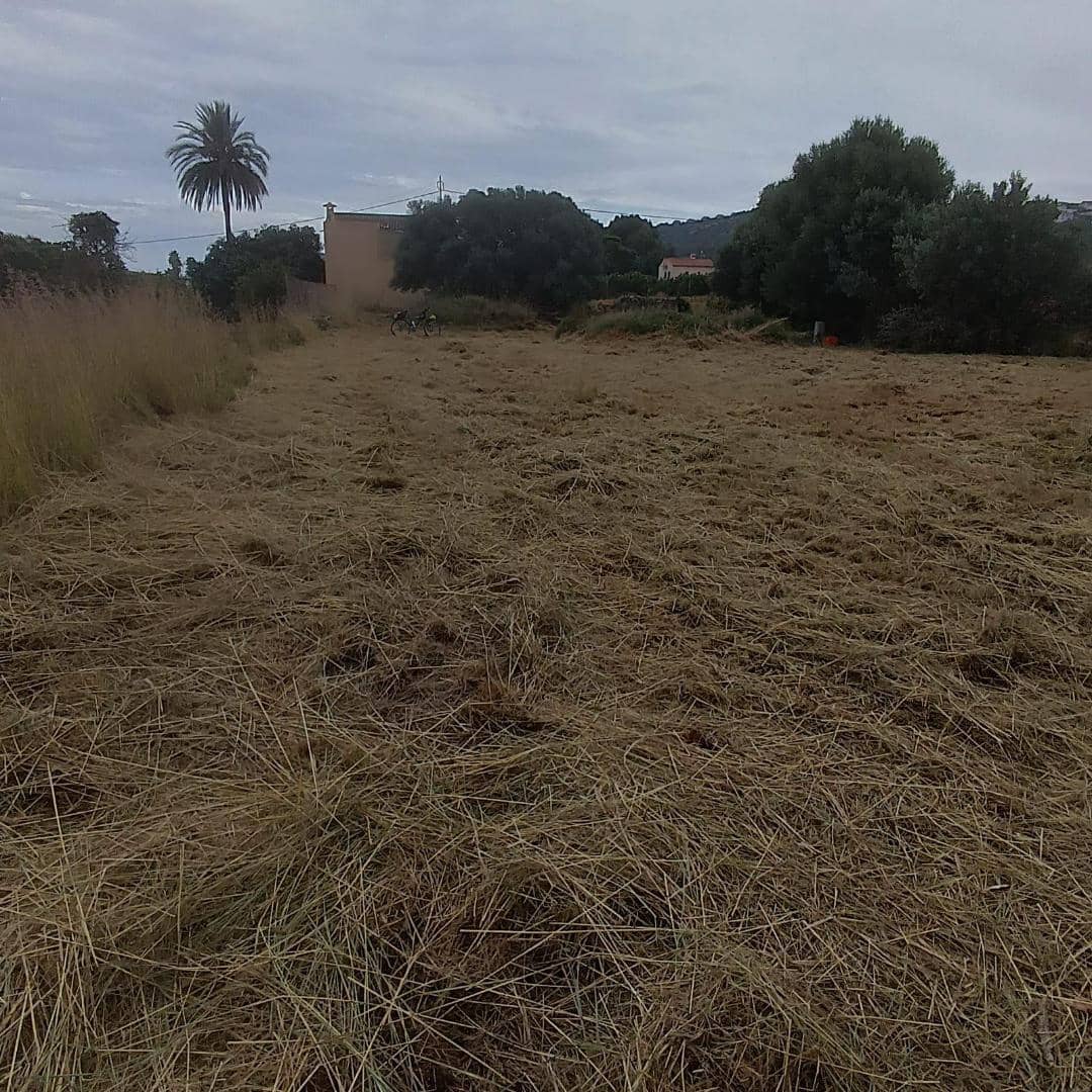 Grond te koop in Pedreguer - € 190.000 (Ref: 8674637)