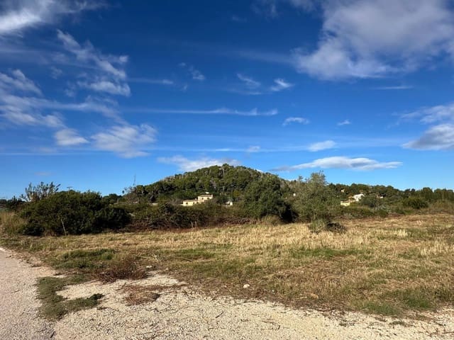 Undeveloped Land for sale in Pedreguer - € 25,000 (Ref: 8887132)