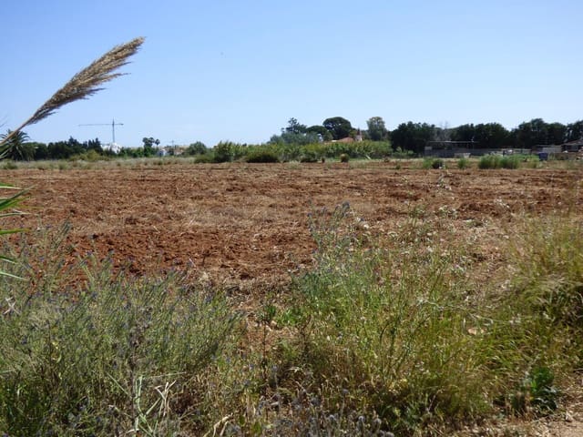 Undeveloped Land for sale in La Pedrera - Vessanes, Dénia - € 85,000 (Ref: 8982890)