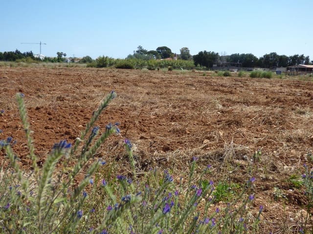 Undeveloped Land for sale in La Pedrera - Vessanes, Dénia - € 85,000 (Ref: 8982890)