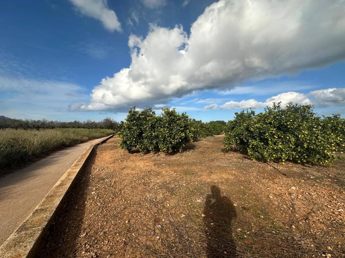 Grunde uden byggetilladelser til salg i Ondara - € 250.000 (Ref: 9396560)