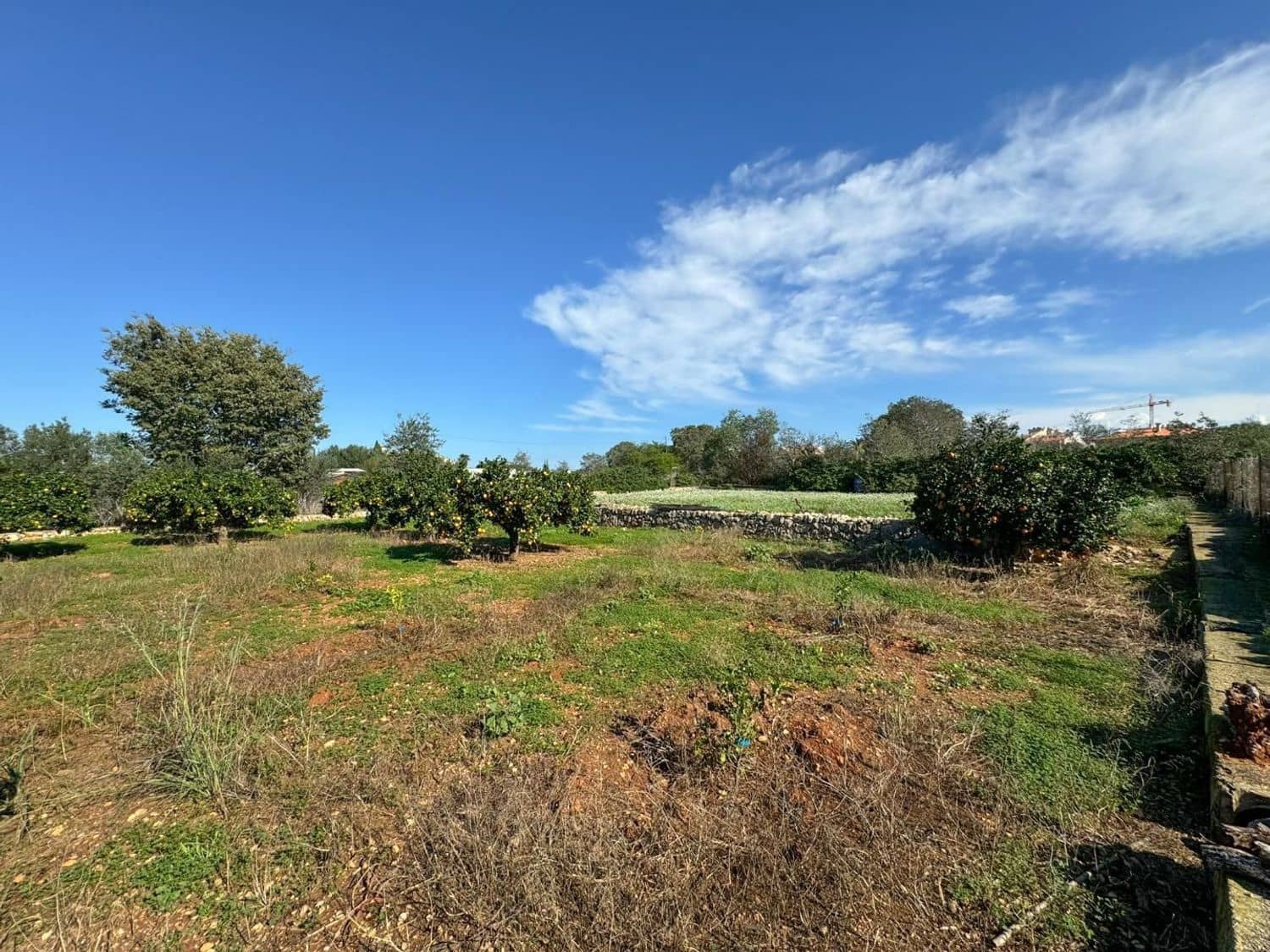 Terre non Aménagée à vendre à Denia - 250 000 € (Ref: 9632759)