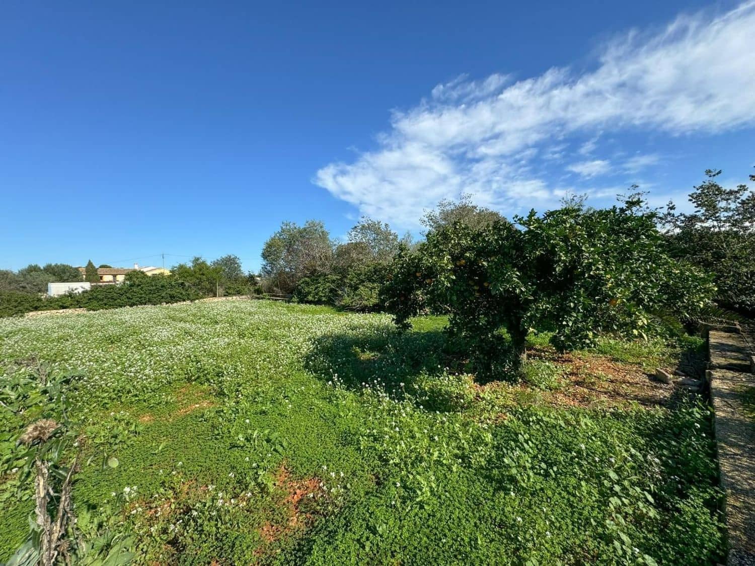 Terre non Aménagée à vendre à Denia - 250 000 € (Ref: 9632759)