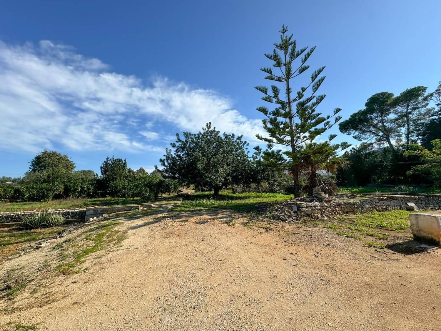 Terre non Aménagée à vendre à Denia - 250 000 € (Ref: 9632759)