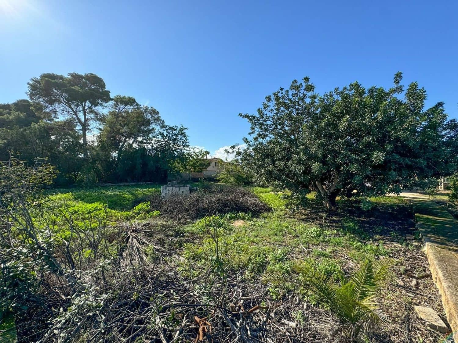 Terre non Aménagée à vendre à Denia - 250 000 € (Ref: 9632759)