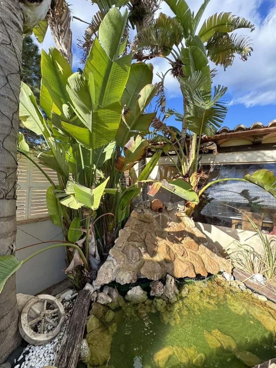 5 Zimmer Villa zu verkaufen in Els Poblets mit Pool - 648.000 € (Ref: 9637570)