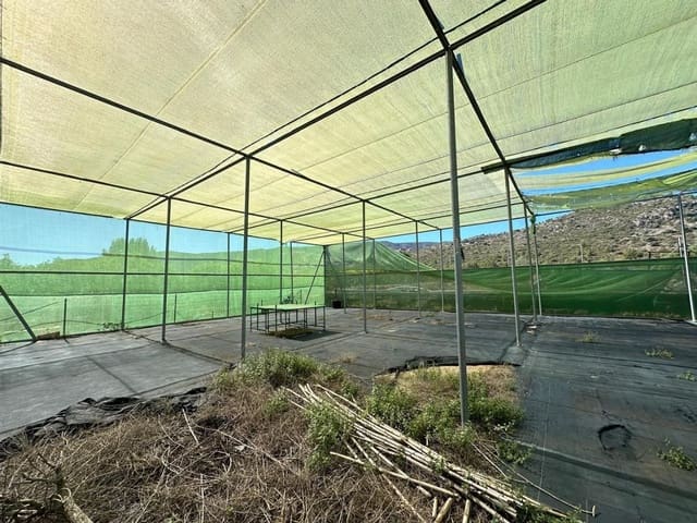 Terreno Não Urbanizado para venda em Pedreguer - 250 000 € (Ref: 9637571)