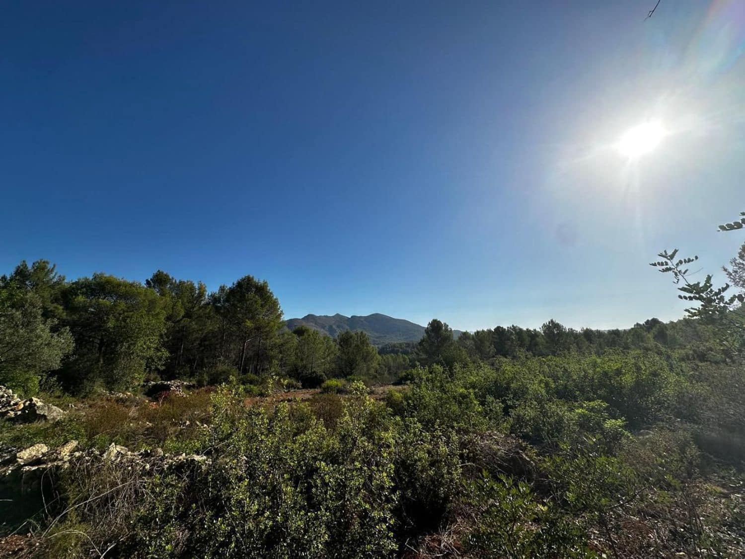 Ubebygd land til salgs i Jalon / Xalo - € 125 000 (Ref: 9637573)