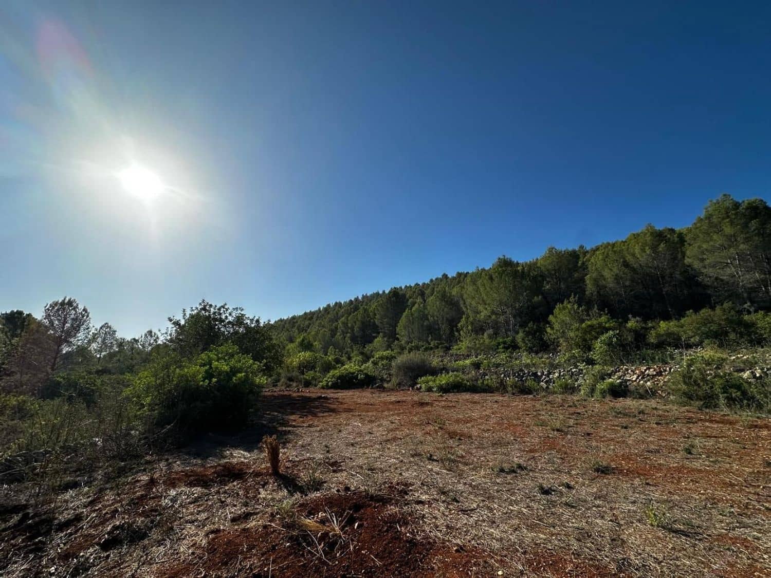 Ubebygd land til salgs i Jalon / Xalo - € 125 000 (Ref: 9637573)