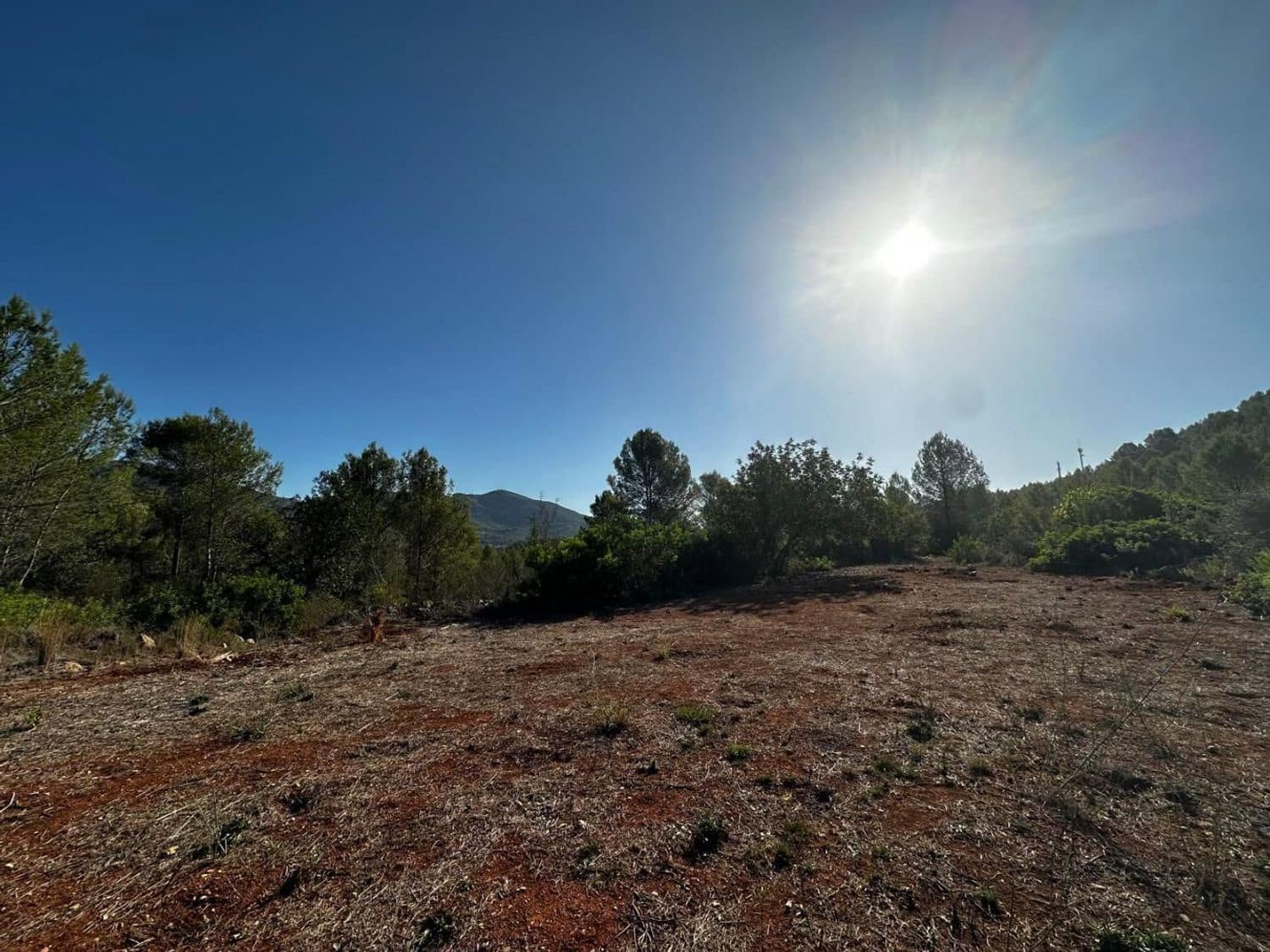 Ubebygd land til salgs i Jalon / Xalo - € 125 000 (Ref: 9637573)