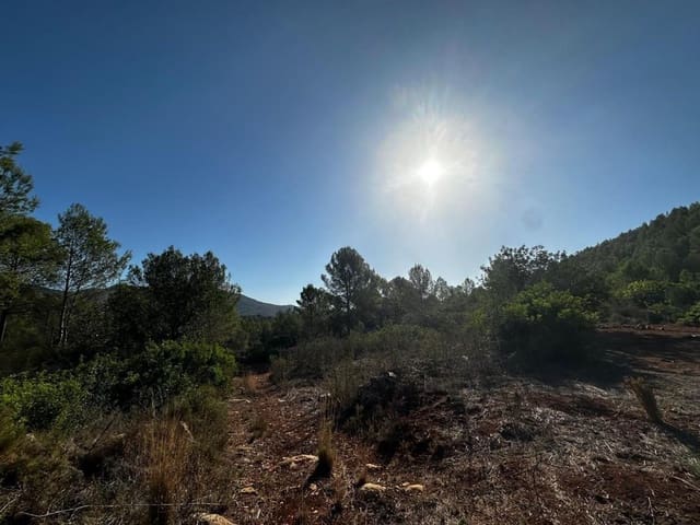 Ubebygd land til salgs i Jalón / Xaló - € 125 000 (Ref: 9637573)