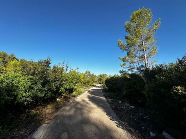 Ubebygd land til salgs i Jalón / Xaló - € 125 000 (Ref: 9637573)