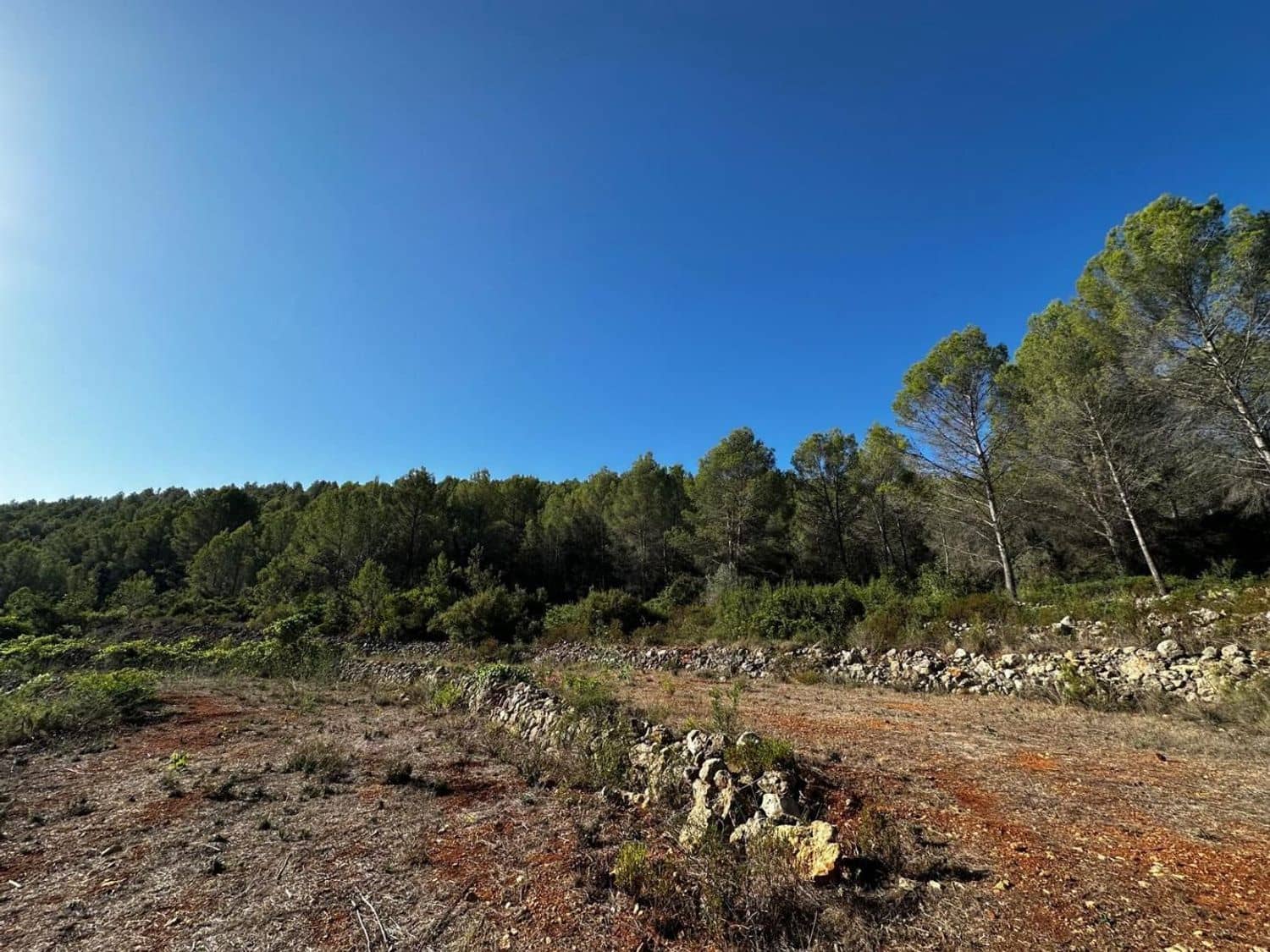 Ubebygd land til salgs i Jalon / Xalo - € 125 000 (Ref: 9637573)