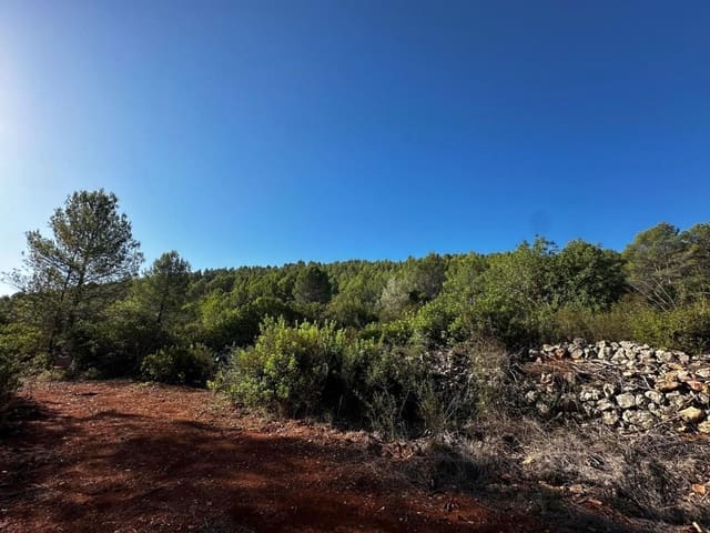 Ubebygd land til salgs i Jalón / Xaló - € 125 000 (Ref: 9637573)