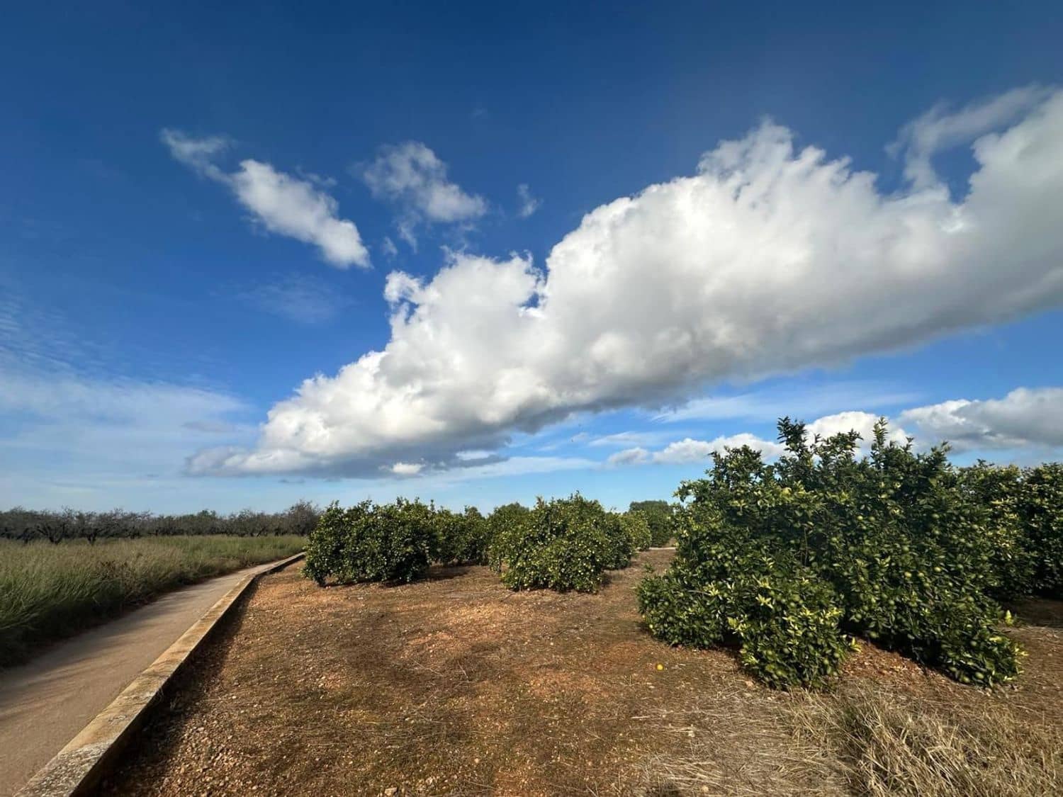 Landgrundstück zu verkaufen in Ondara - 250.000 € (Ref: 9637577)