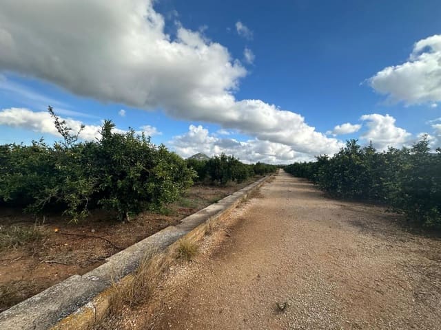 Landgrundstück zu verkaufen in Ondara - 250.000 € (Ref: 9637577)