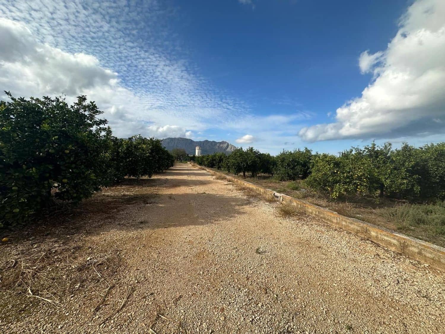 Landgrundstück zu verkaufen in Ondara - 250.000 € (Ref: 9637577)