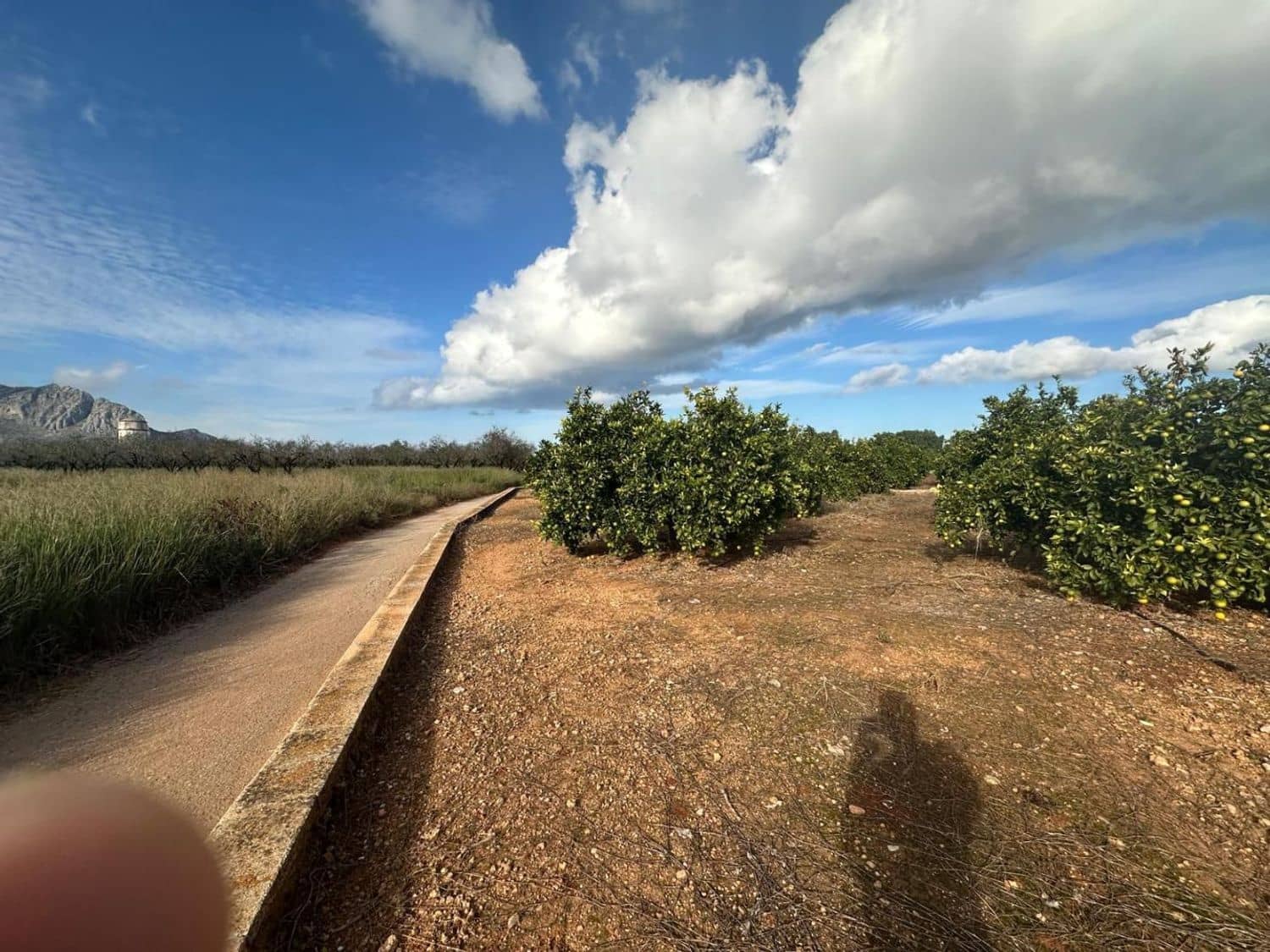 Landgrundstück zu verkaufen in Ondara - 250.000 € (Ref: 9637577)