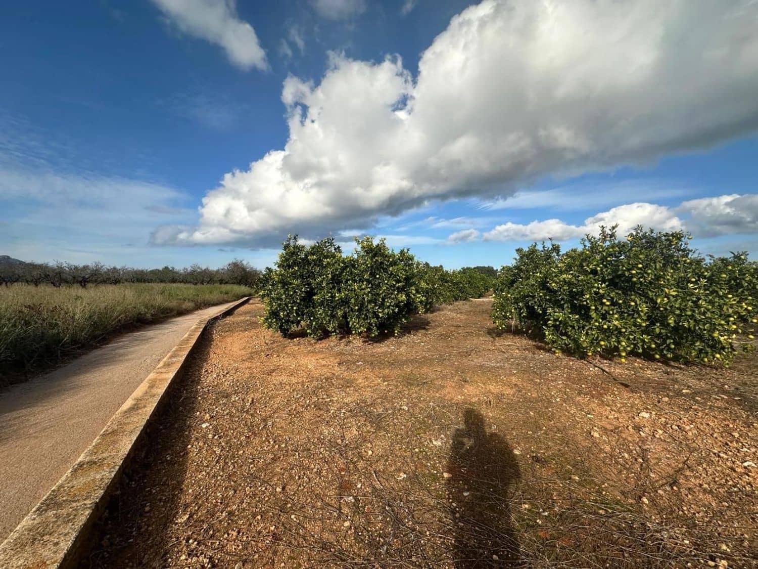 Landgrundstück zu verkaufen in Ondara - 250.000 € (Ref: 9637577)