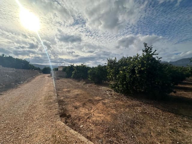 Landgrundstück zu verkaufen in Ondara - 250.000 € (Ref: 9637577)