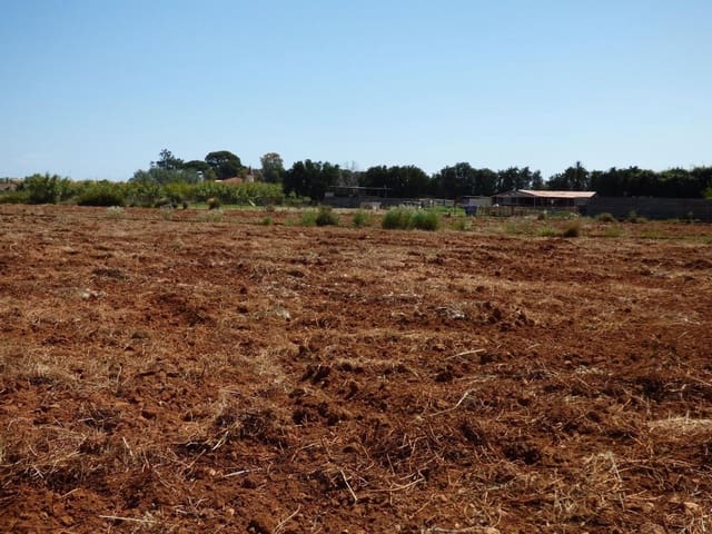 Ubebygd land til salgs i La Pedrera - Vessanes, Dénia - € 85 000 (Ref: 9637579)