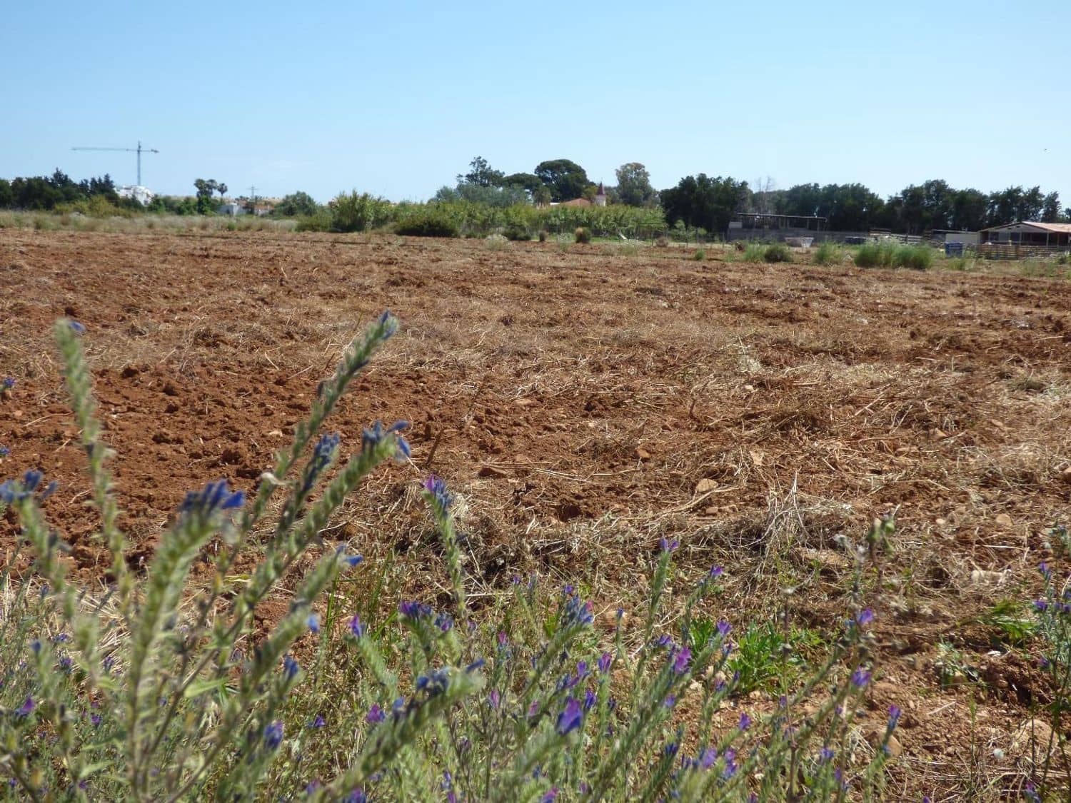Ubebygd land til salgs i Denia - € 85 000 (Ref: 9637579)
