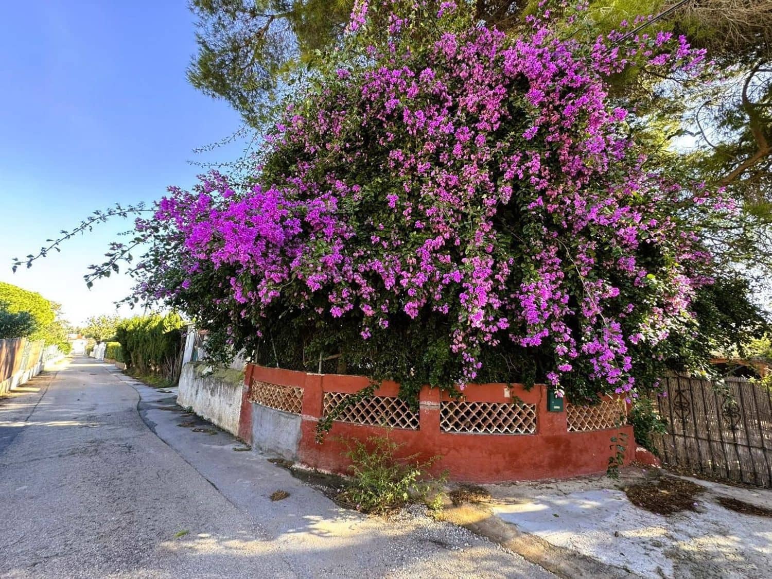 11 makuuhuone Huvila myytävänä paikassa Denia - 817 000 € (Ref: 9637593)