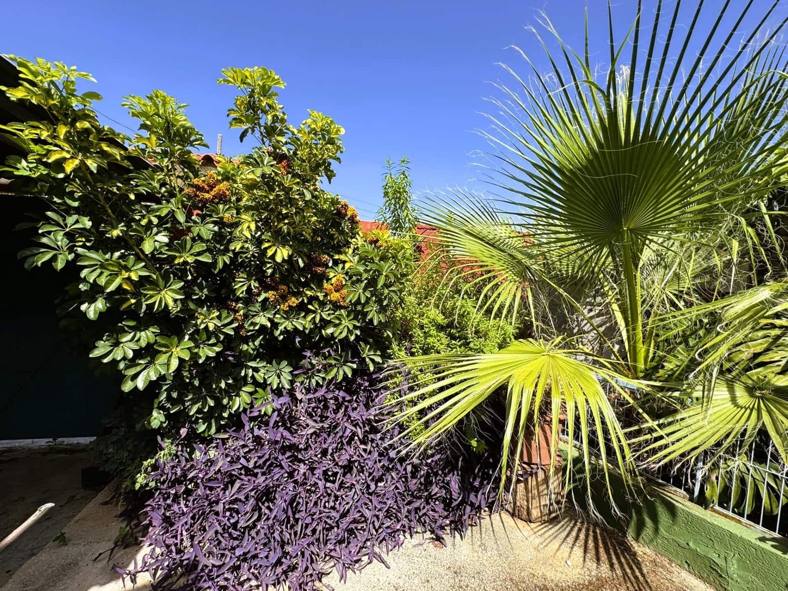 3 bedroom Villa for sale in Denia with pool garage - € 429,000 (Ref: 9942527)