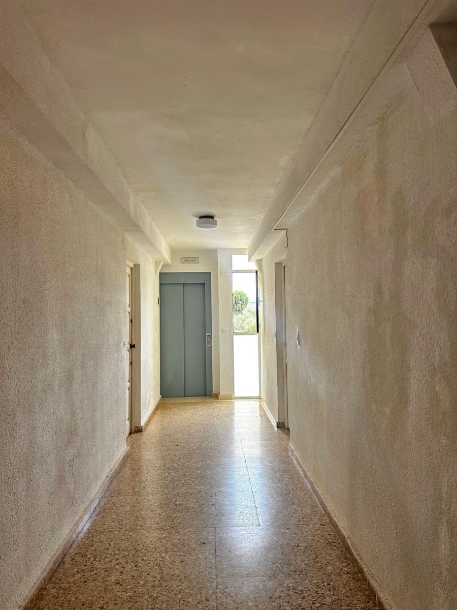 Studio til leje i Denia - € 650 (Ref: 9962706)