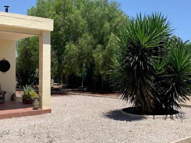 Finca/Maison de Campagne à vendre à Torrevieja - 299 000 € (Ref: 9061908)