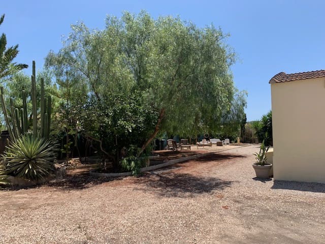 Finca/Landhuis te koop in El Pinet - € 299.000 (Ref: 9264746)