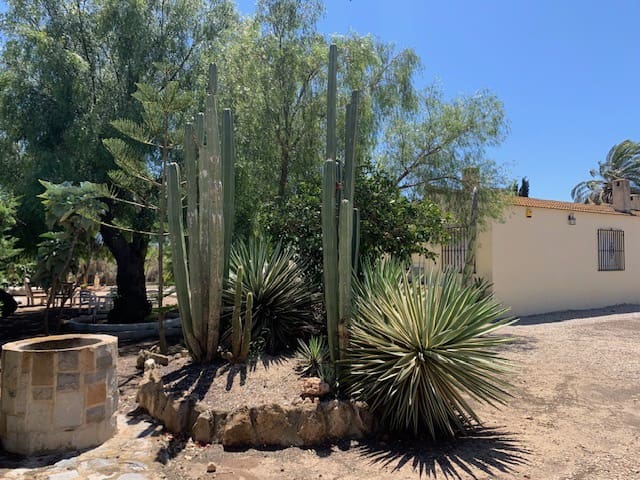 Finca/Maison de Campagne à vendre à El Pinet, Elche / Elx - 299 000 € (Ref: 9264746)