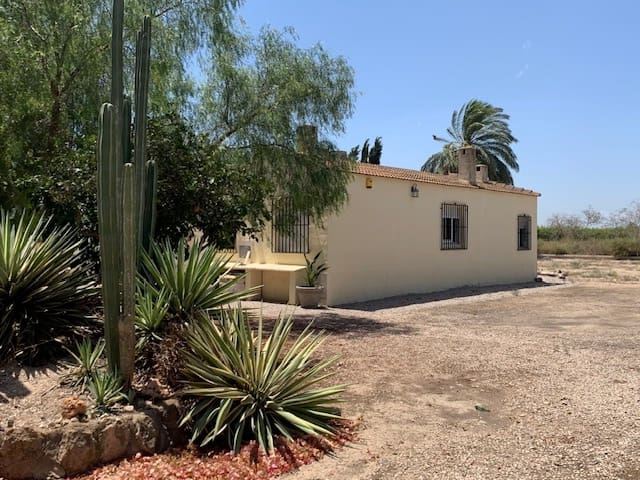 Villa/Maison à vendre à El Pinet - 299 999 € (Ref: 9265650)