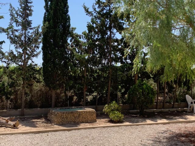 Villa/Maison à vendre à El Pinet - 299 999 € (Ref: 9265650)