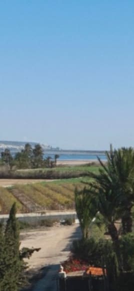 4 bedroom Villa for sale in Elche / Elx - € 299,000 (Ref: 9312005)