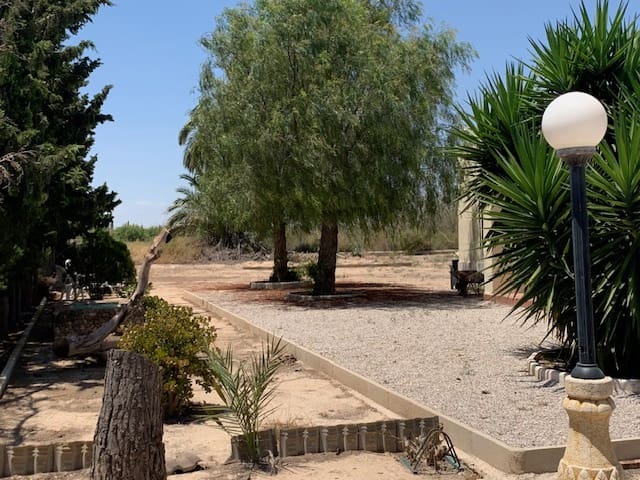 Villa for sale in La Marina - € 299,000 (Ref: 9322672)