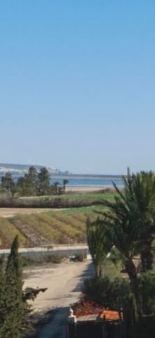 4 sypialnia Finka/Dom wiejski na sprzedaż w Torrevieja - 300 000 € (Ref: 9441073)