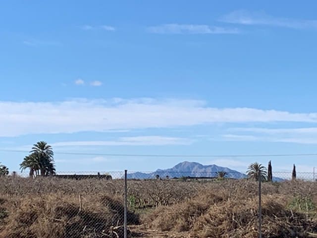 4 bedroom Finca/Country House for sale in Elche / Elx - € 299,000 (Ref: 9727469)