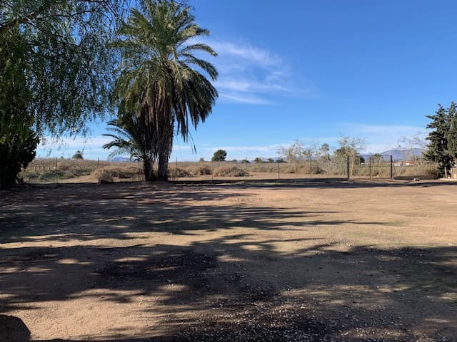 4 bedroom Finca/Country House for sale in Elche / Elx - € 299,000 (Ref: 9727469)