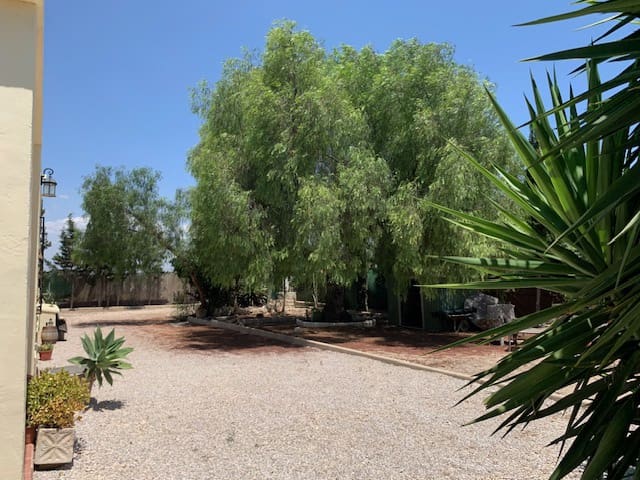 3 slaapkamer Finca/Landhuis te koop in Santa Pola - € 299.000 (Ref: 9727532)