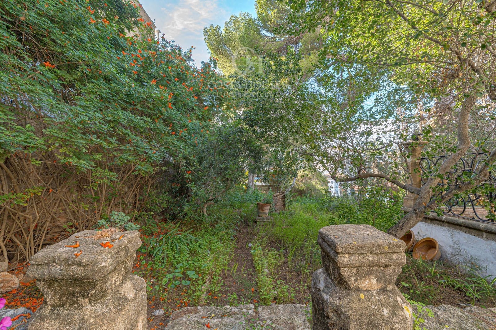 Area Edificabile in vendita in Javea / Xabia - 3.000.000 € (Rif: 9334907)