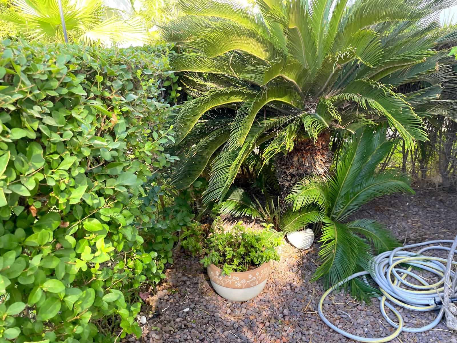 3 bedroom Apartment for rent in Altea with pool garage - € 1,800 (Ref: 9064941)