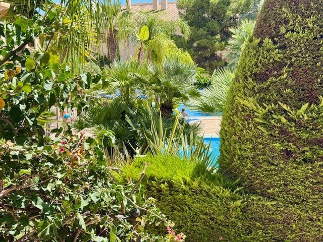 1 bedroom Apartment for rent in Altea with pool garage - € 875 (Ref: 9256755)