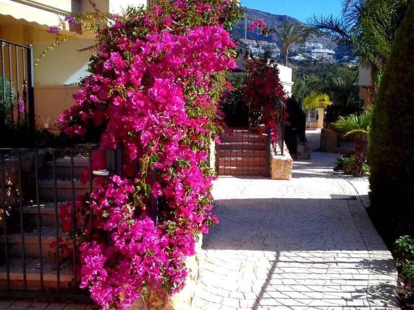 1 bedroom Apartment for rent in Altea with pool garage - € 875 (Ref: 9310480)