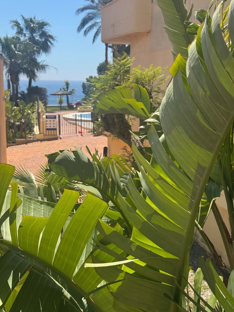 2 bedroom Apartment for rent in Altea with pool garage - € 1,250 (Ref: 9954675)