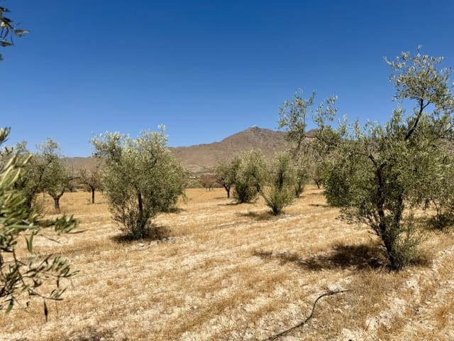 3 slaapkamer Villa te koop in Uleila del Campo met zwembad garage - € 379.950 (Ref: 10060522)