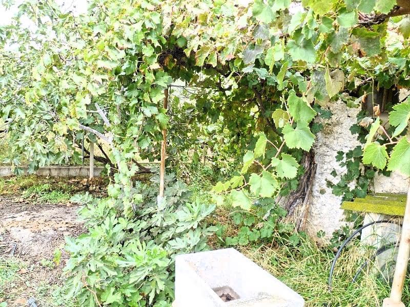 4 sypialnia Finka/Dom wiejski na sprzedaż w Lubrin - 65 000 € (Ref: 5374793)